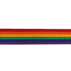 T008 Rainbow Stripe Polyester Anyaman Trim